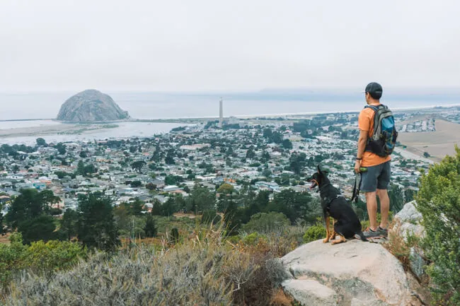 Black-Hill-Trail-Morro-Bay