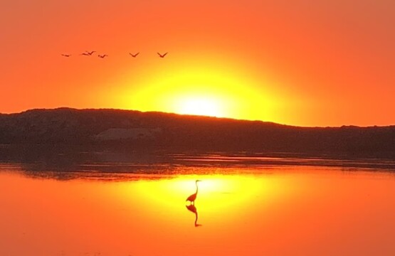 Morro Bay-holiday-Rental-homes