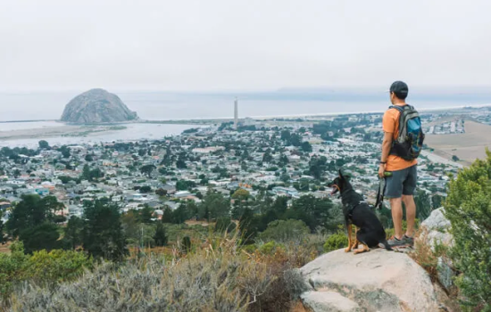 Black-Hill-Trail-Morro-Bay